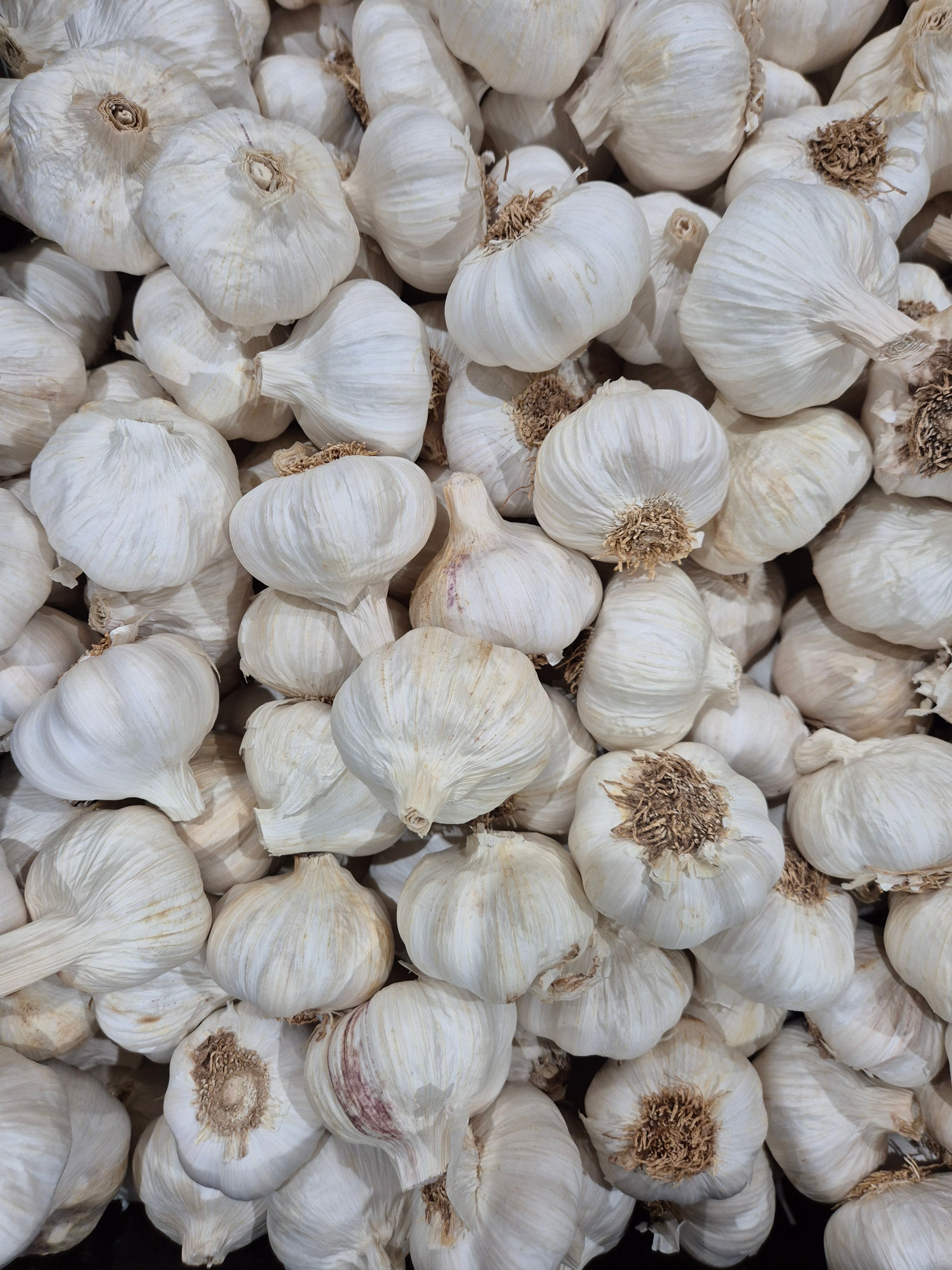 1kg Fresh Australian Garlic